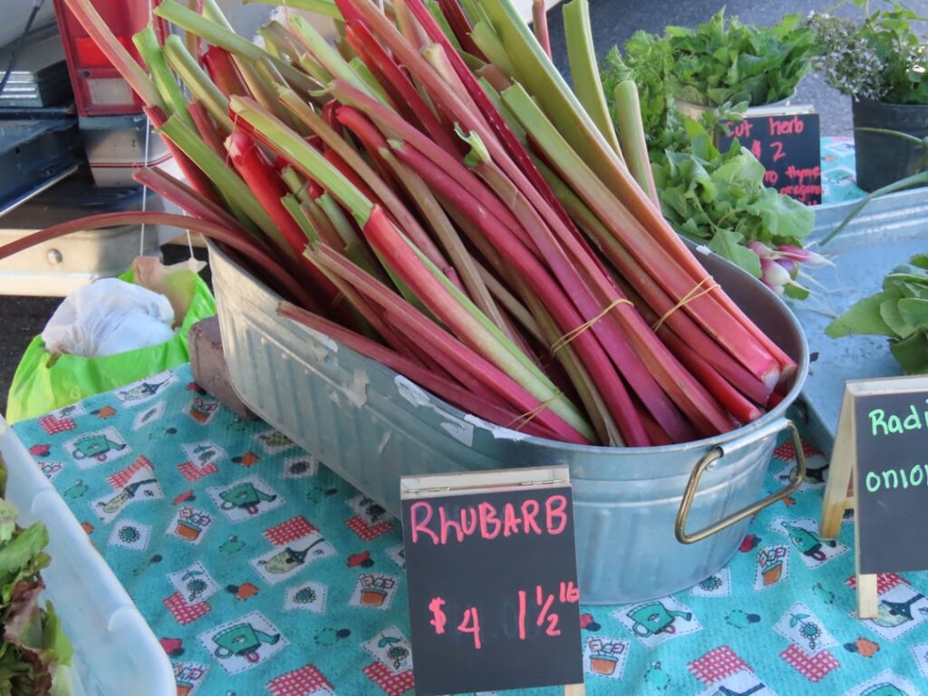 kompot z rabarbaru